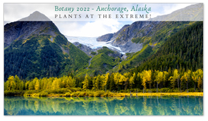 Anchorage, Alaska Zoom Background 4